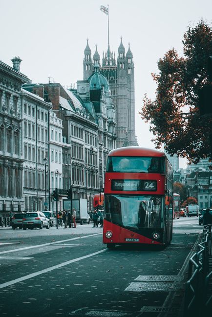 A red double-decker bus traveling along a busy urban street with multiple lanes, with several pedestrians on the sidewalk nearby. The bus displays the route number 24 and the destination 'Hampstead Heath' on a digital sign at the front. In the background, historic buildings with detailed facades line the street, and the iconic clock tower of the Palace of Westminster, with its Gothic architecture and multiple spires, is visible under a slightly overcast sky. A tree with dark red foliage is partially visible in the right foreground, adding natural contrast to the scene. Vehicles, including cars and additional buses, are present along the street, and the overall atmosphere conveys a typical city day with a mix of transport, architecture, and urban activity. Waste Disposal West Hampstead's rubbish collection services may be required for managing waste generated by busy city environments such as this, supporting on-site clearance or alternative collection needs.